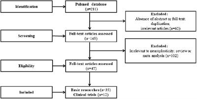 The impact of acupuncture on neuroplasticity after ischemic stroke: a literature review and perspectives